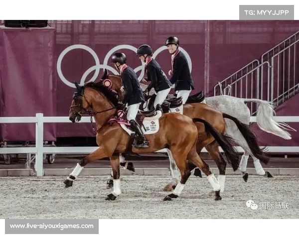 世界马术运动会试运行新评分系统，观众与骑手反馈积极